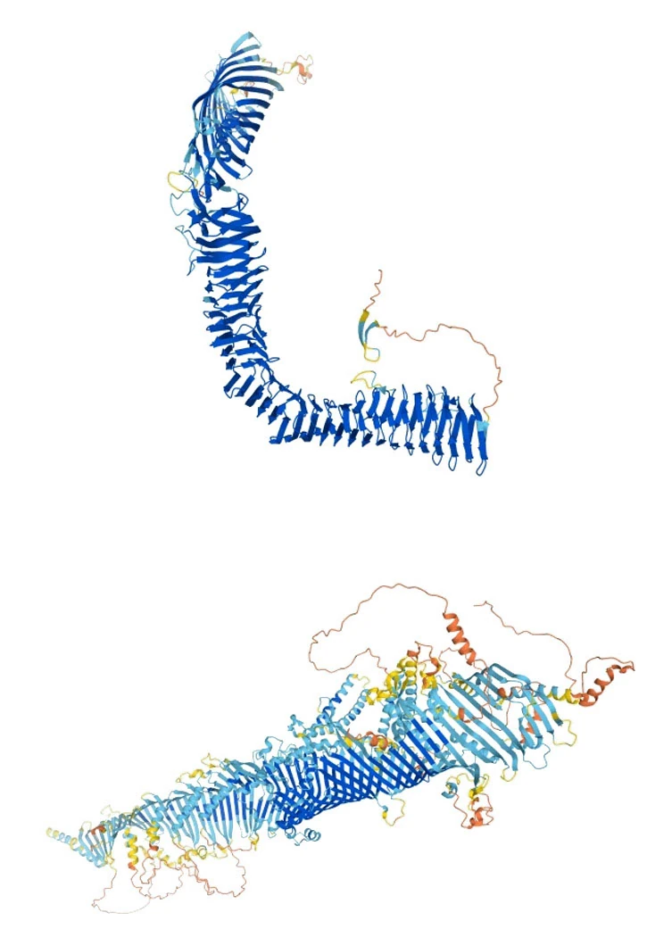 Protein visualization from DeepMind's AlphaFold