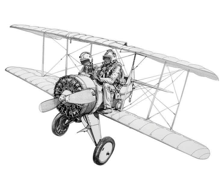 Illustration of a copilot